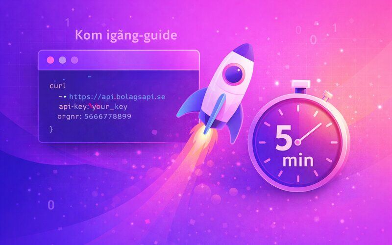 API usage guide